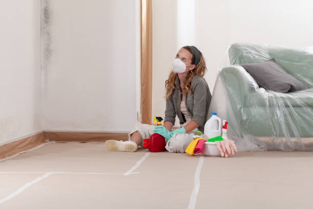 Reliable Mold Remediation contractor in Little Elm, TX by Mold Remediation HQ